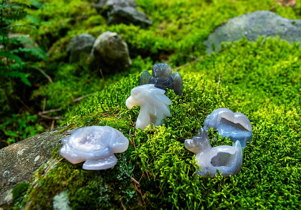 New Druze Spirit Animals